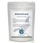 CuMed Pharma - Amoxicure 100gr - amoxicillin 10% - Racing Pigeons CuMed Pharma - Amoxicure 100gr - amoxicillin 10% - Racing Pigeons