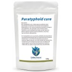 CuMed Pharma - Paratyphoid cure 100g - Paratyphoid - Salmonella - E. coli - Racing Pigeons