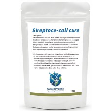 CuMed Pharma - Streptoco-Coli Cure 100g - Elite Young Bird Sickness Remedy - Racing Pigeons CuMed Pharma - Streptoco-Coli Cure 100g - Elite Young Bird Sickness Remedy - Racing Pigeons