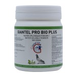 Giantel Pro Bio Plus 500gr - Probioticts - Intestinal flora - Digestion - Racing Pigeons Giantel Pro Bio Plus 500gr - Probioticts - Intestinal flora - Digestion - Racing Pigeons