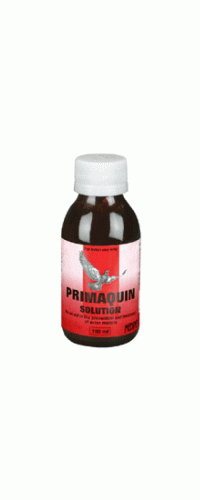 Medpet - Primaquin 100ml - Malaria in Racing Pigeons