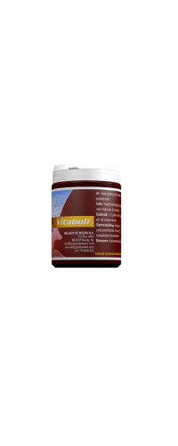 Belgica de Weerd - Superboli 100 pills - Vitamin B Vitality Tablets - racing pigeons