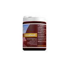 Superboli 100 pills Vitamin B Vitality Tablets by Belgica de Weerd
