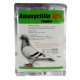 Amoxicillin 10% - 100g - E-Coli - Salmonella - Racing Pigeons