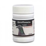 Enrofloxacin 100 tablets - Enrofloxacine 10% - Pills Treatment - Racing Pigeons Enrofloxacin 100 tablets - Enrofloxacine 10% - Pills Treatment - Racing Pigeons