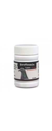 Enrofloxacin 100 tablets - Enrofloxacine 10% - Pills Treatment - Racing Pigeons