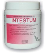 Medpet - Intestum for pigeons