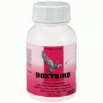 Medpet - Doxybird - Ornithosis - Mycoplasmosis - Racing Pigeons