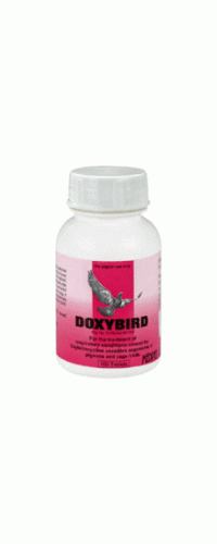 Medpet - Doxybird - Ornithosis - Mycoplasmosis - Racing Pigeons